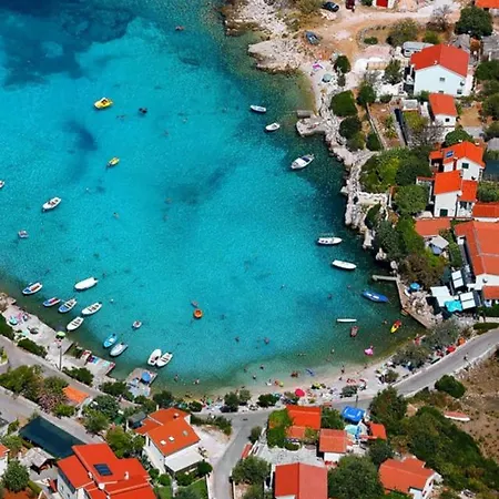 Dreamer * 로고즈니차